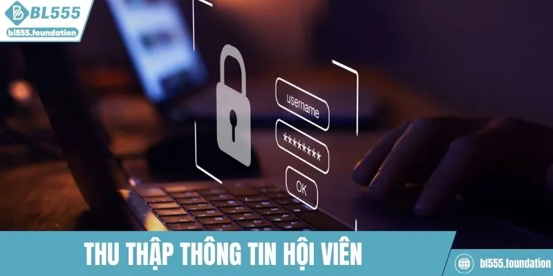 Thu thập dữ liệu hội viên
